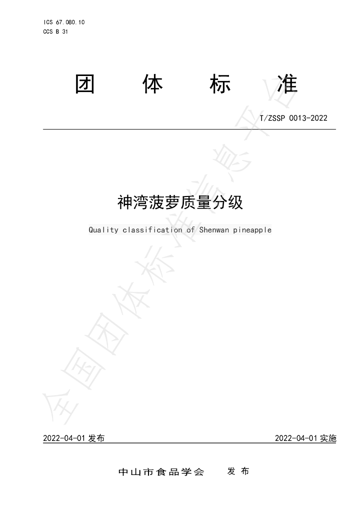 T/ZSSP 0013-2022 标准预览