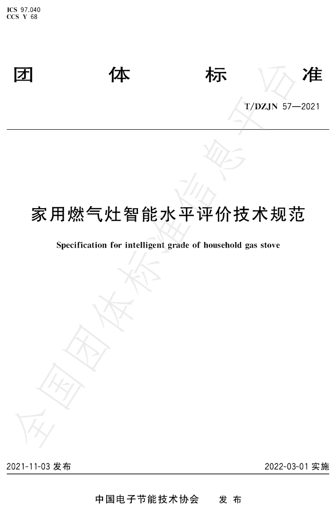 T/DZJN 57-2021 标准预览