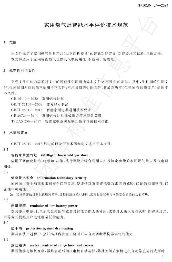 T/DZJN 57-2021 标准预览