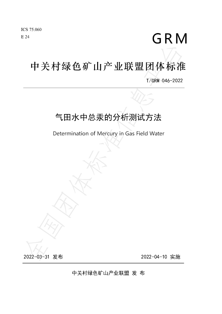 T/GRM 046-2022 标准预览