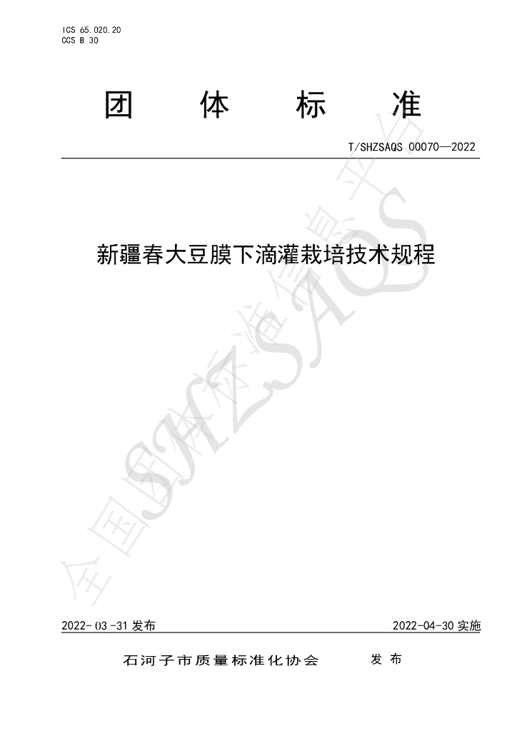 T/SHZSAQS 00070-2022 标准预览