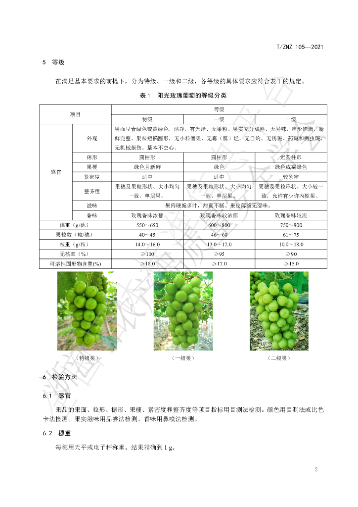 T/ZNZ 105-2021 标准预览