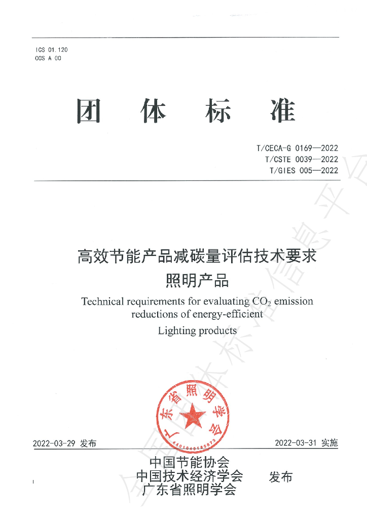 T/GIES 005-2022 标准预览