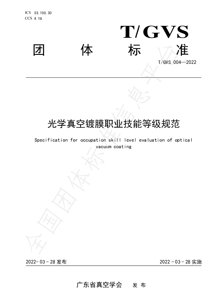 T/GVS 004-2022 标准预览