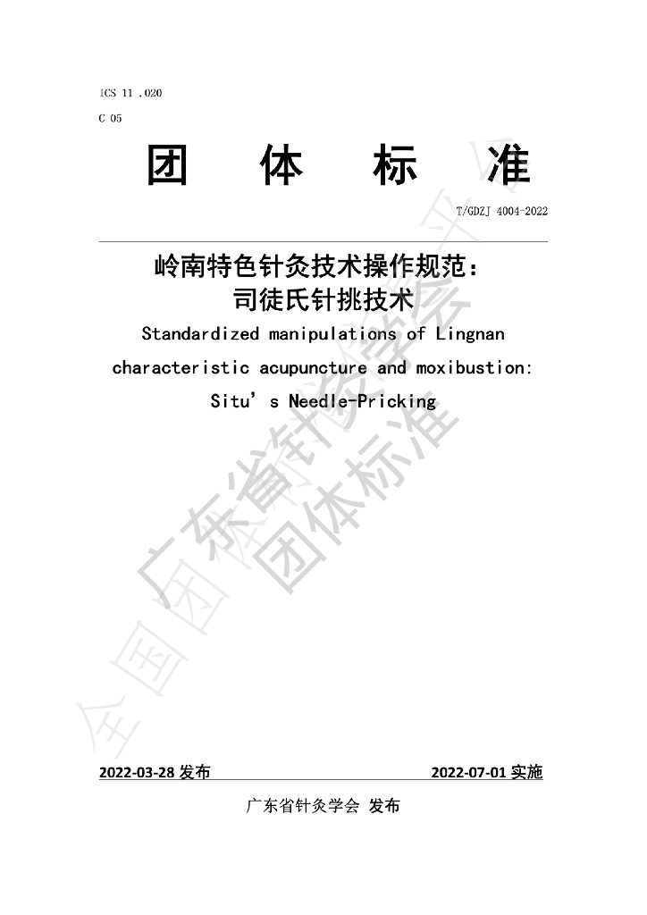 T/GDZJ 4004-2022 标准预览