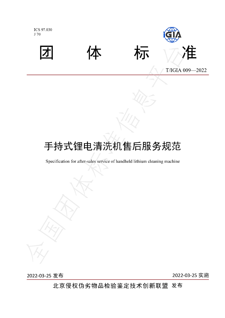 T/IGIA 009-2022 标准预览
