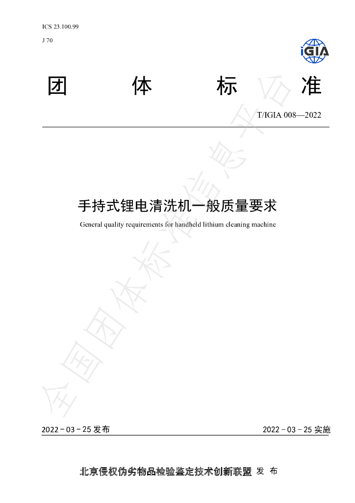 T/IGIA 008-2022 标准预览