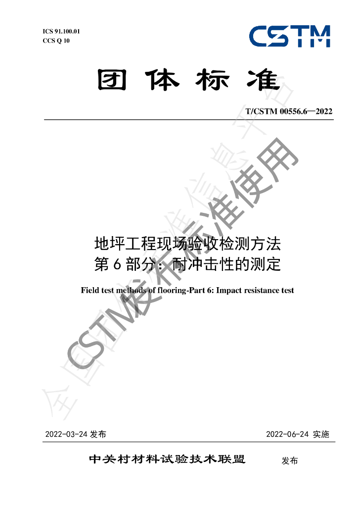 T/CSTM 00556.6-2022 标准预览