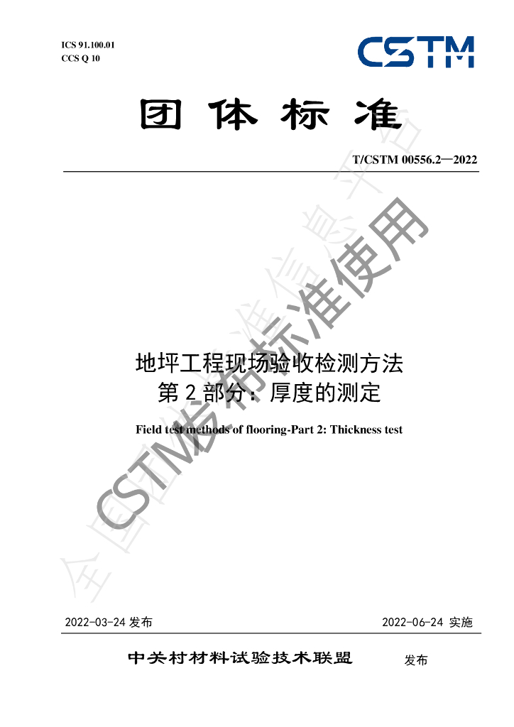 T/CSTM 00556.2-2022 标准预览