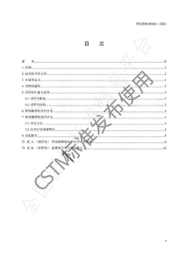 T/CSTM 00401-2021 标准预览