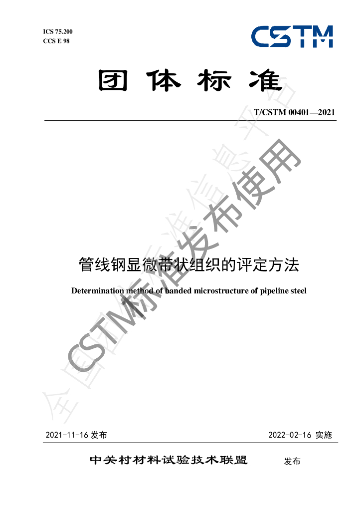 T/CSTM 00401-2021 标准预览