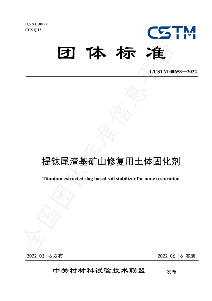 T/CSTM 00658-2022 标准预览