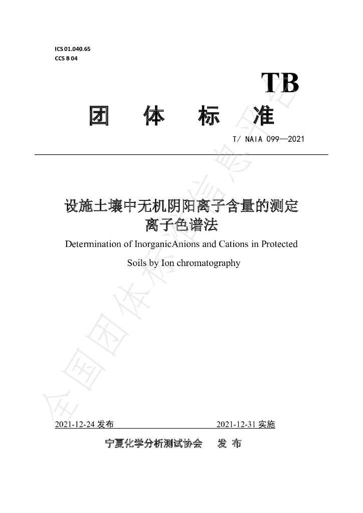 T/NAIA 099-2021 标准预览