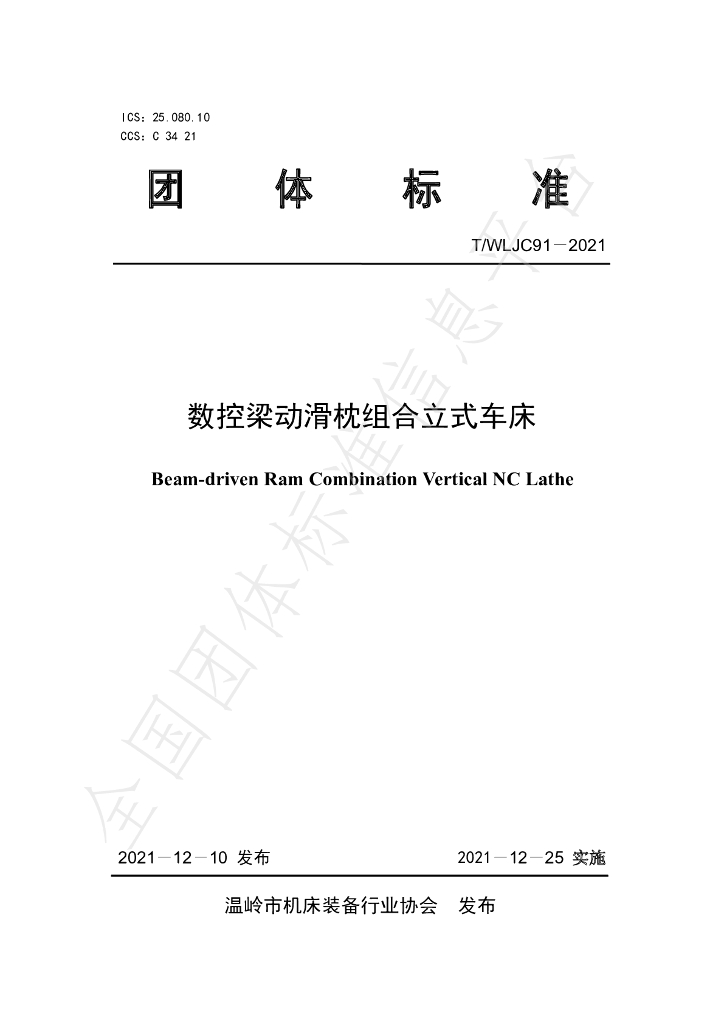 T/WLJC 91-2021 标准预览