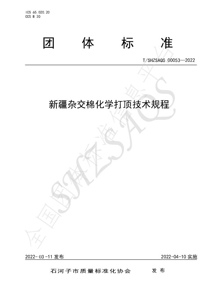 T/SHZSAQS 00053-2022 标准预览