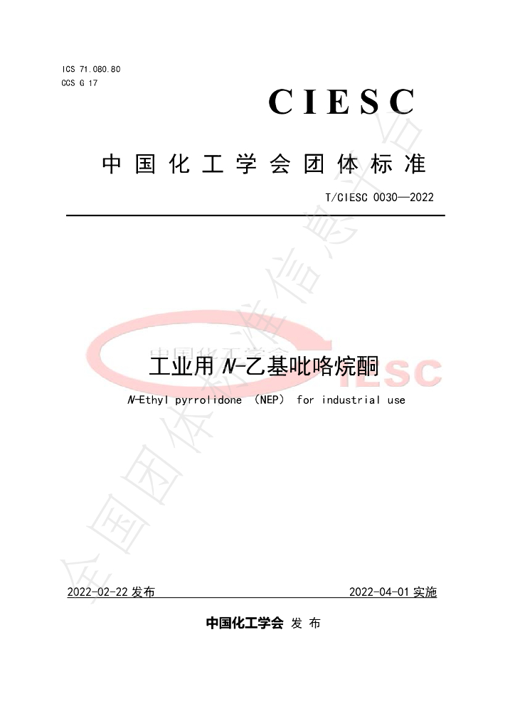 T/CIESC 0030-2022 标准预览