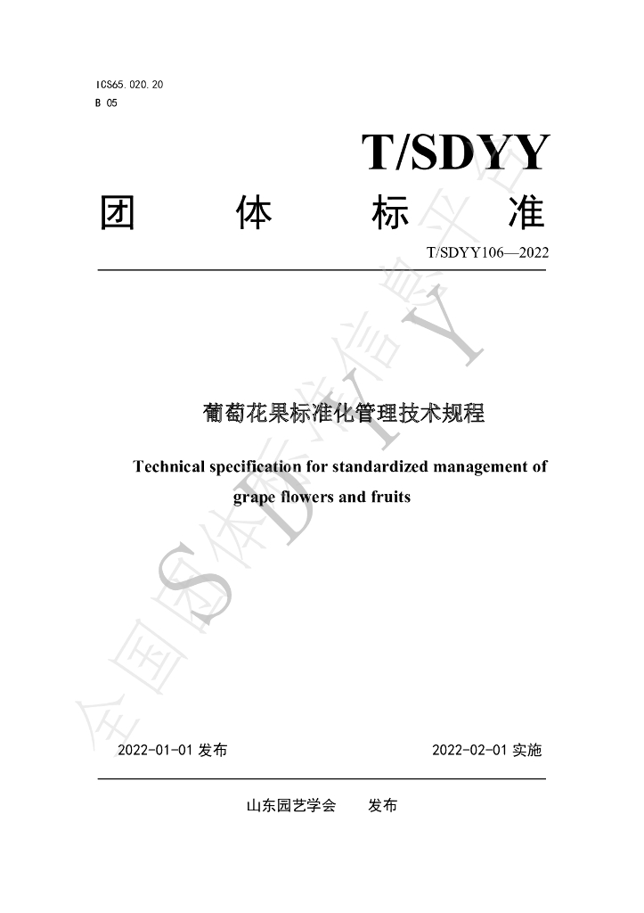 T/SDYY 106-2022 标准预览