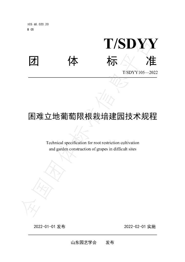 T/SDYY 105-2022 标准预览