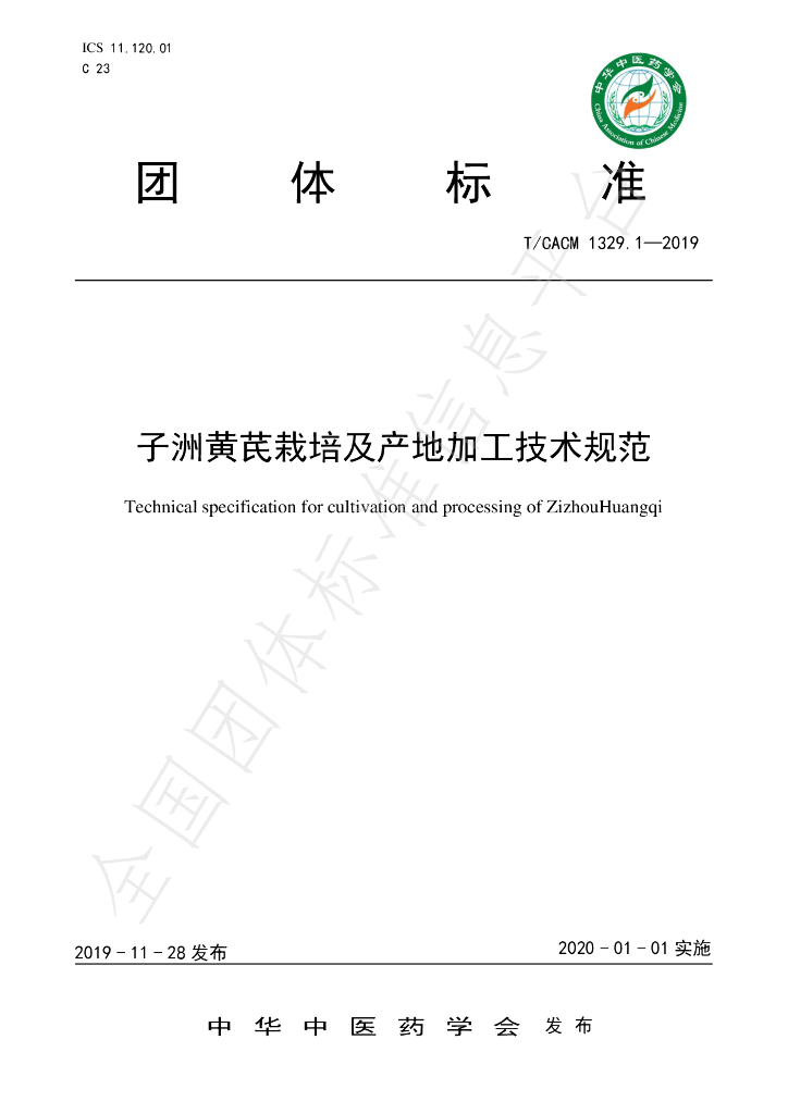 T/CACM 1329.1-2019 标准预览