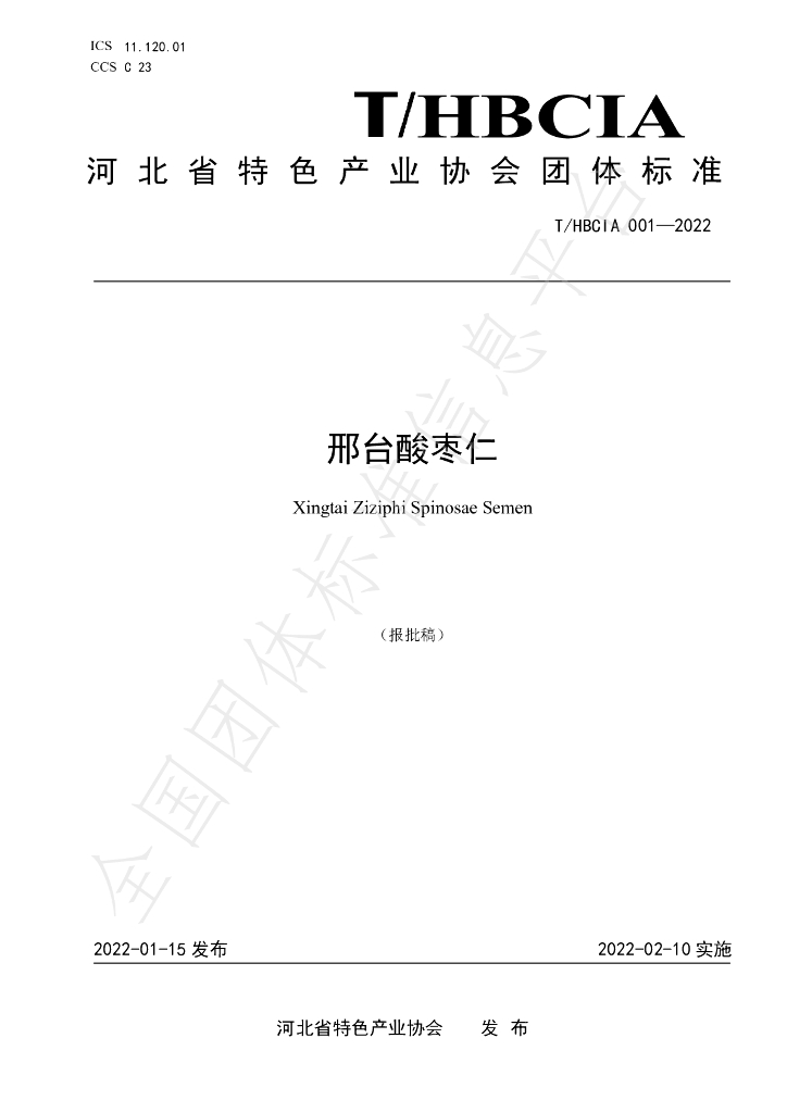 T/HBCIA 001-2022 标准预览