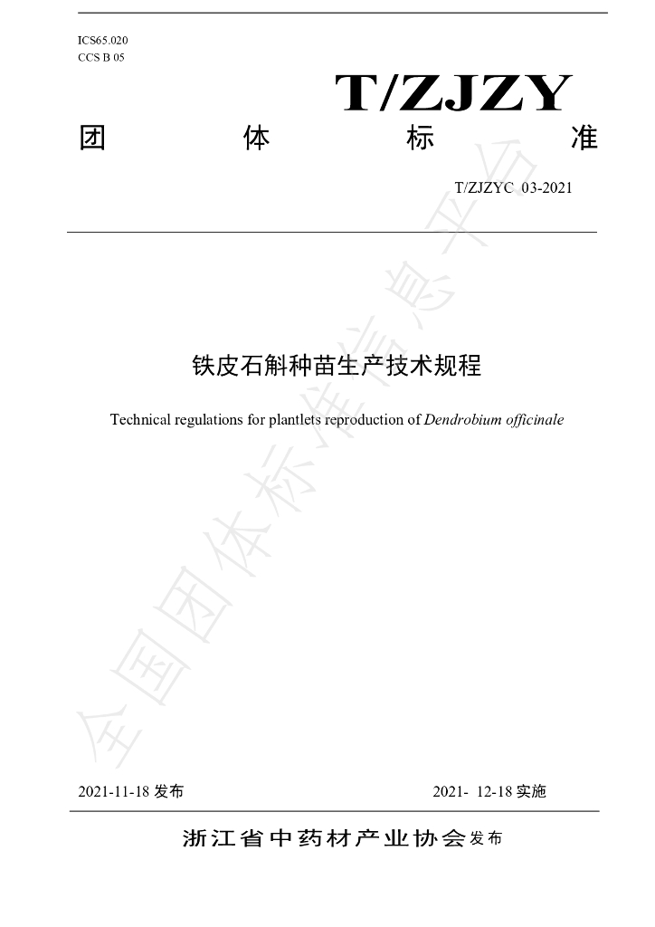 T/ZJZYC 003-2021 标准预览