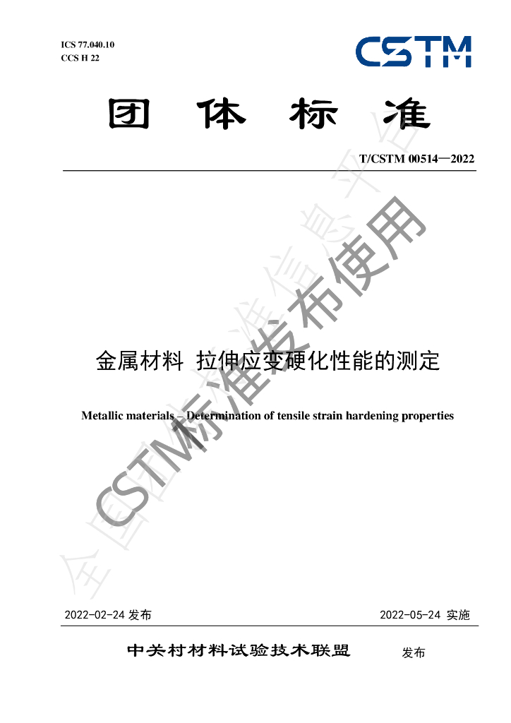 T/CSTM 00514-2022 标准预览
