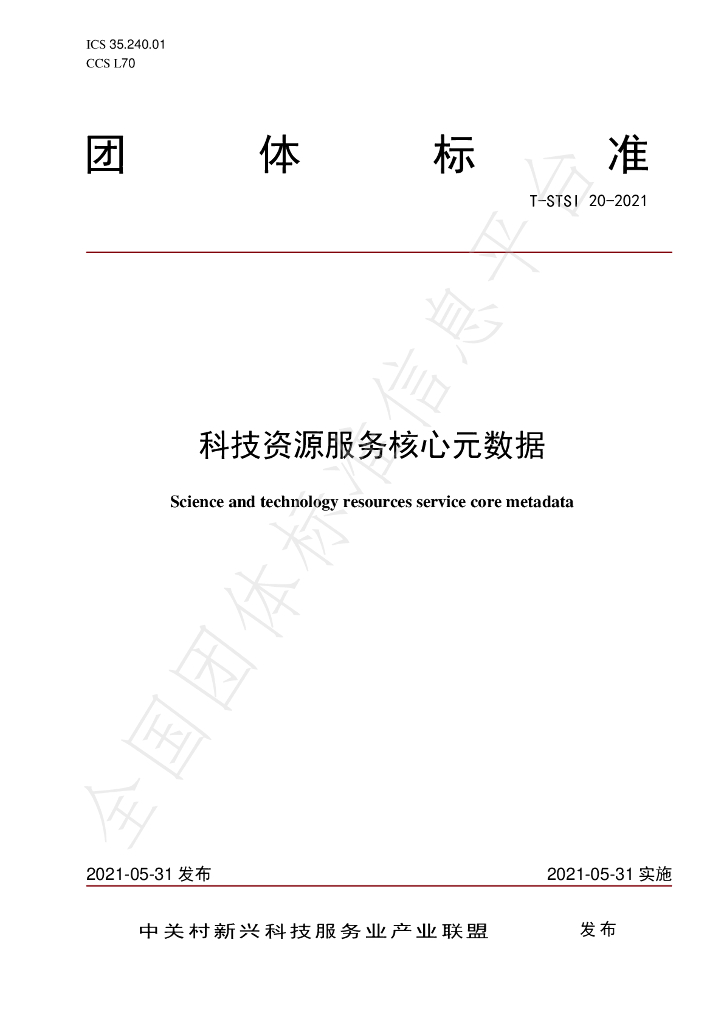 T/STSI 20-2021 标准预览