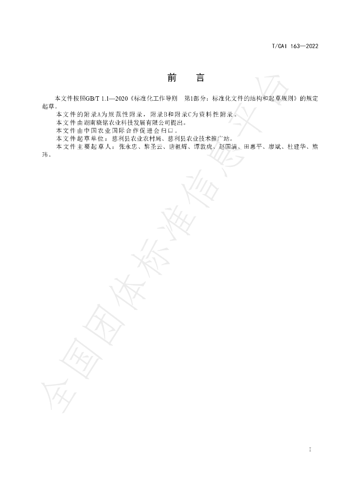 T/CAI 163-2022 标准预览
