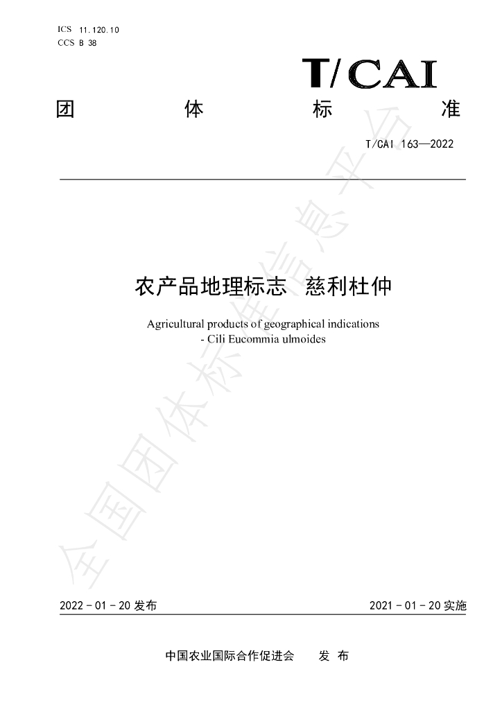 T/CAI 163-2022 标准预览