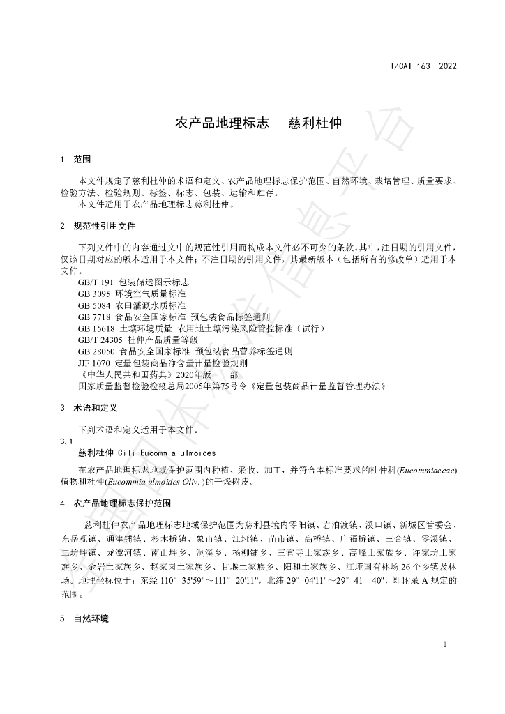 T/CAI 163-2022 标准预览