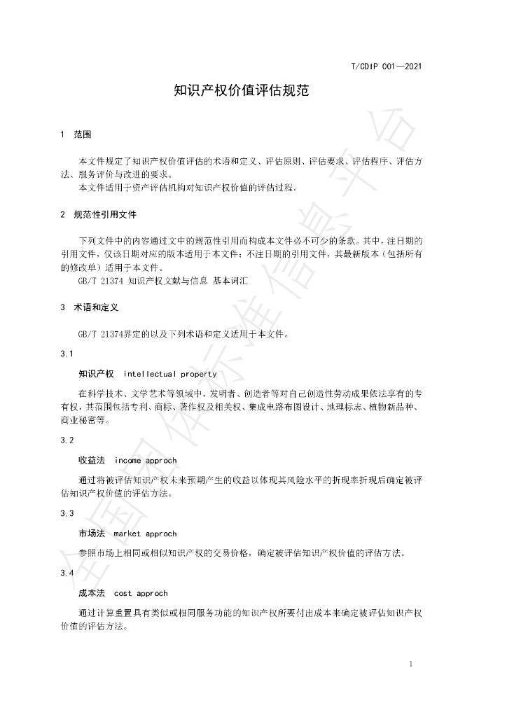 T/CDIP 001-2021 标准预览
