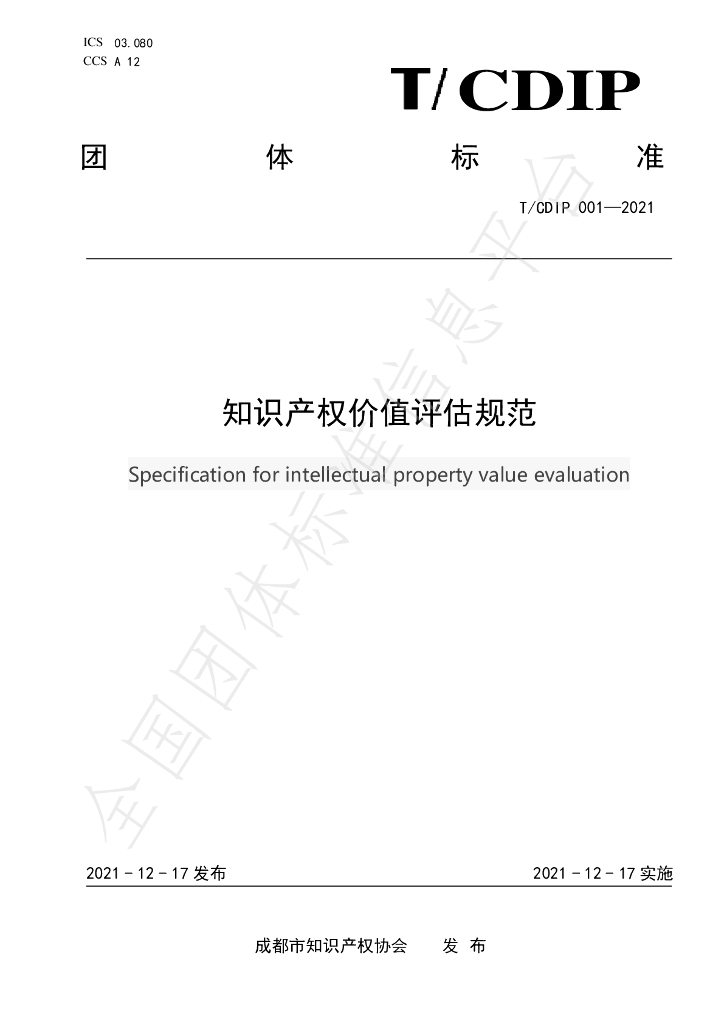 T/CDIP 001-2021 标准预览