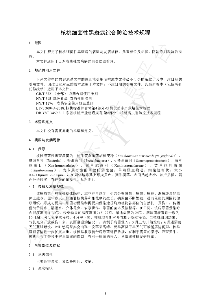 T/SDYY 104-2022 标准预览