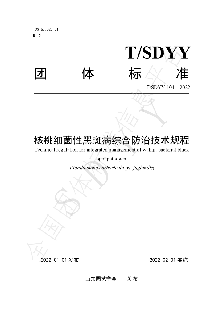 T/SDYY 104-2022 标准预览