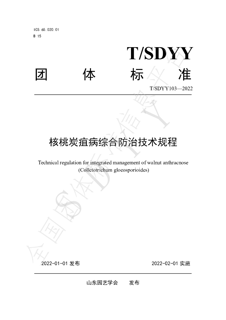 T/SDYY 103-2022 标准预览