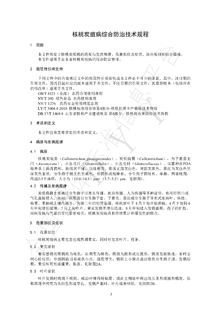 T/SDYY 103-2022 标准预览