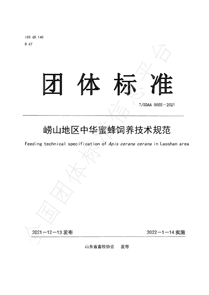 T/SDAA 0055-2021 标准预览