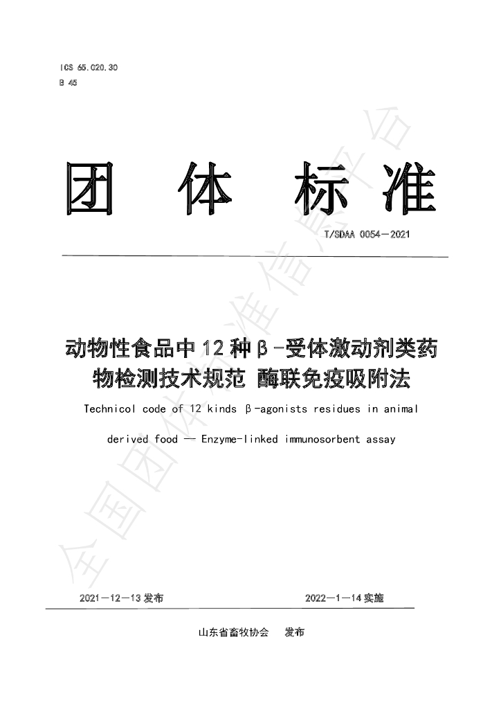 T/SDAA 0054-2021 标准预览