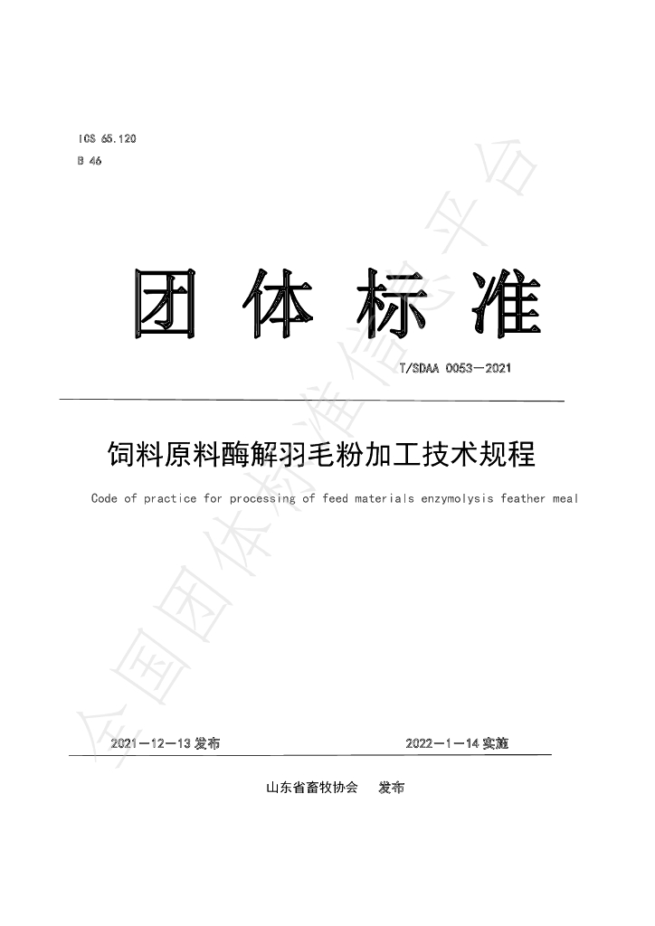 T/SDAA 0053-2021 标准预览
