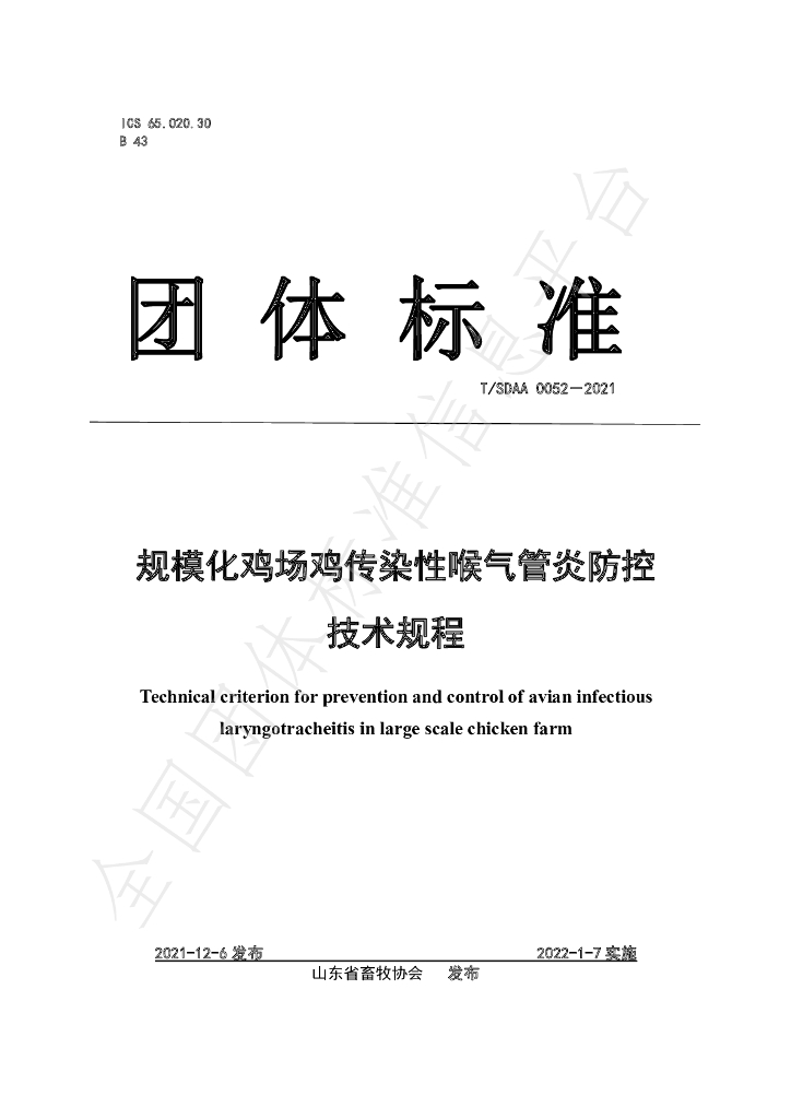 T/SDAA 0052-2021 标准预览
