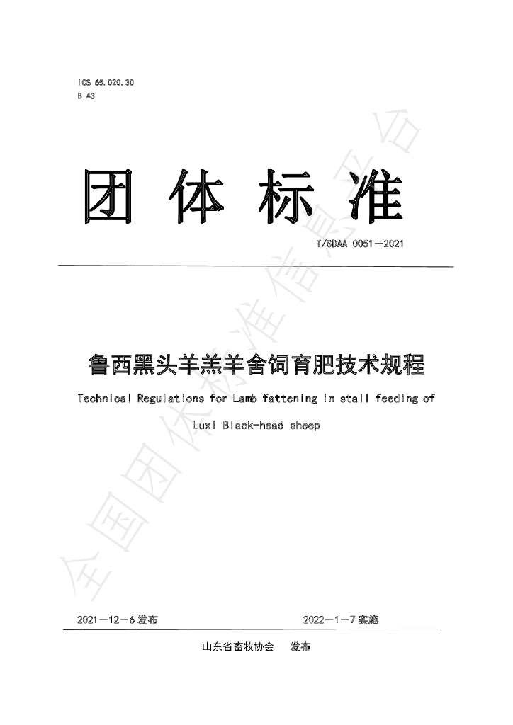 T/SDAA 0051-2021 标准预览