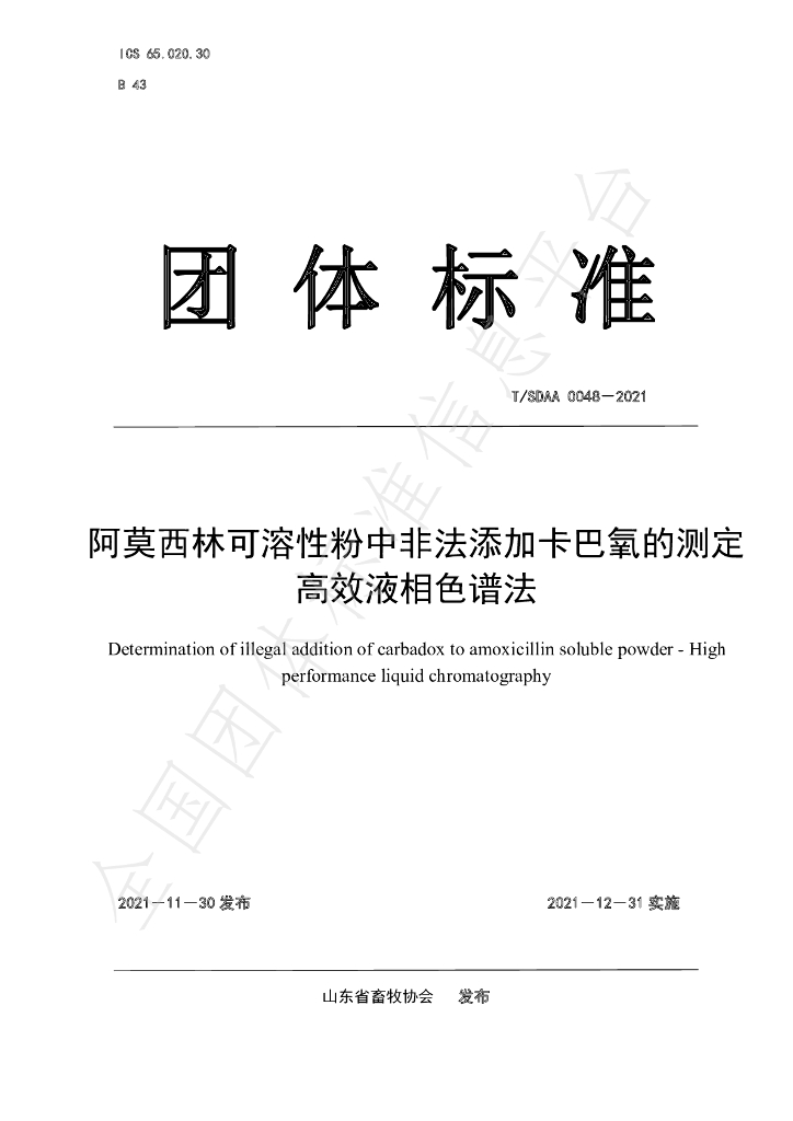 T/SDAA 0048-2021 标准预览