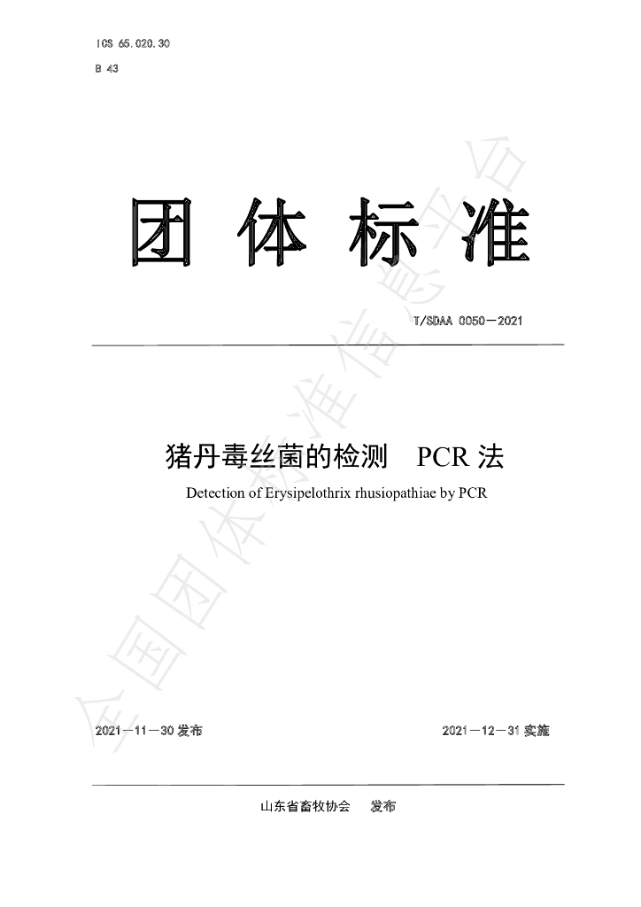 T/SDAA 0050-2021 标准预览