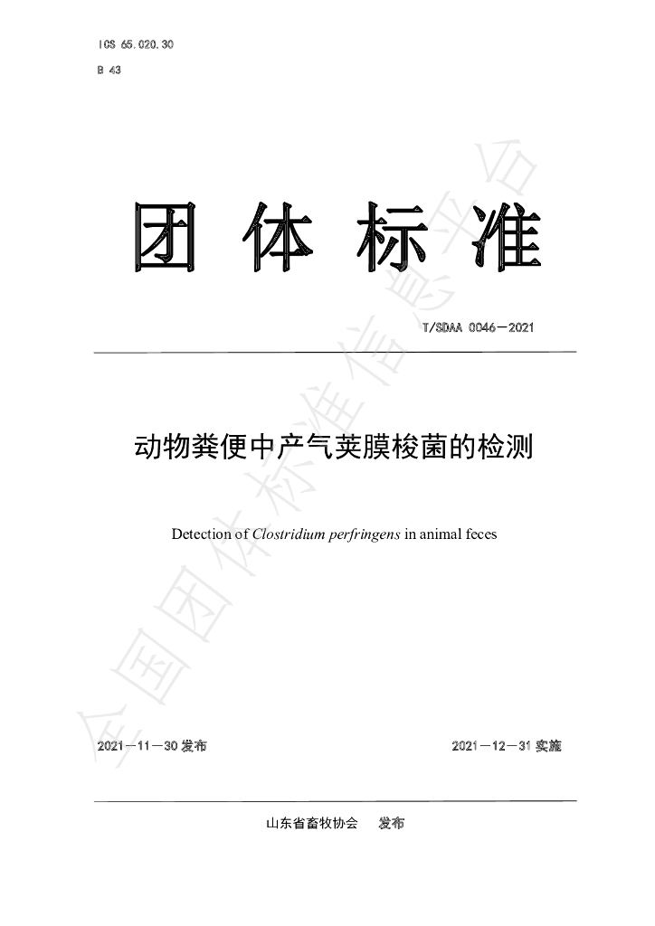 T/SDAA 0046-2021 标准预览