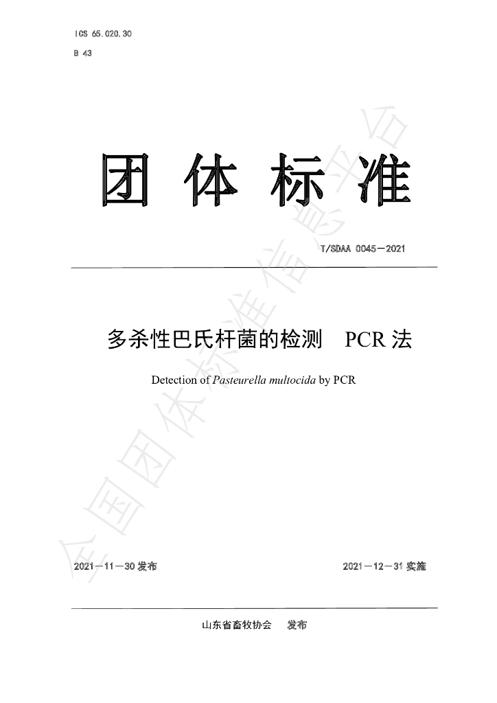 T/SDAA 0045-2021 标准预览