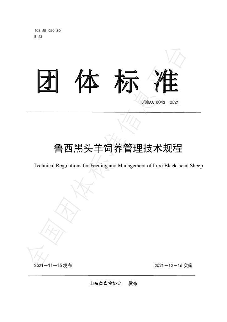 T/SDAA 0043-2021 标准预览
