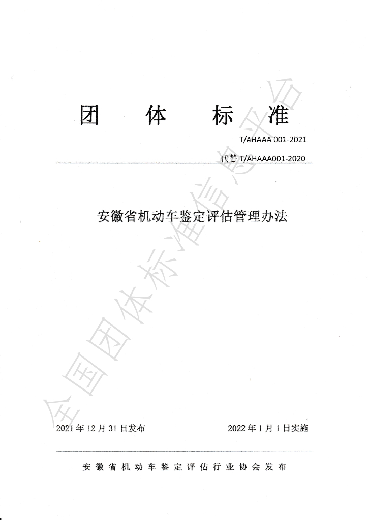 T/AHAAA 001-2021 标准预览
