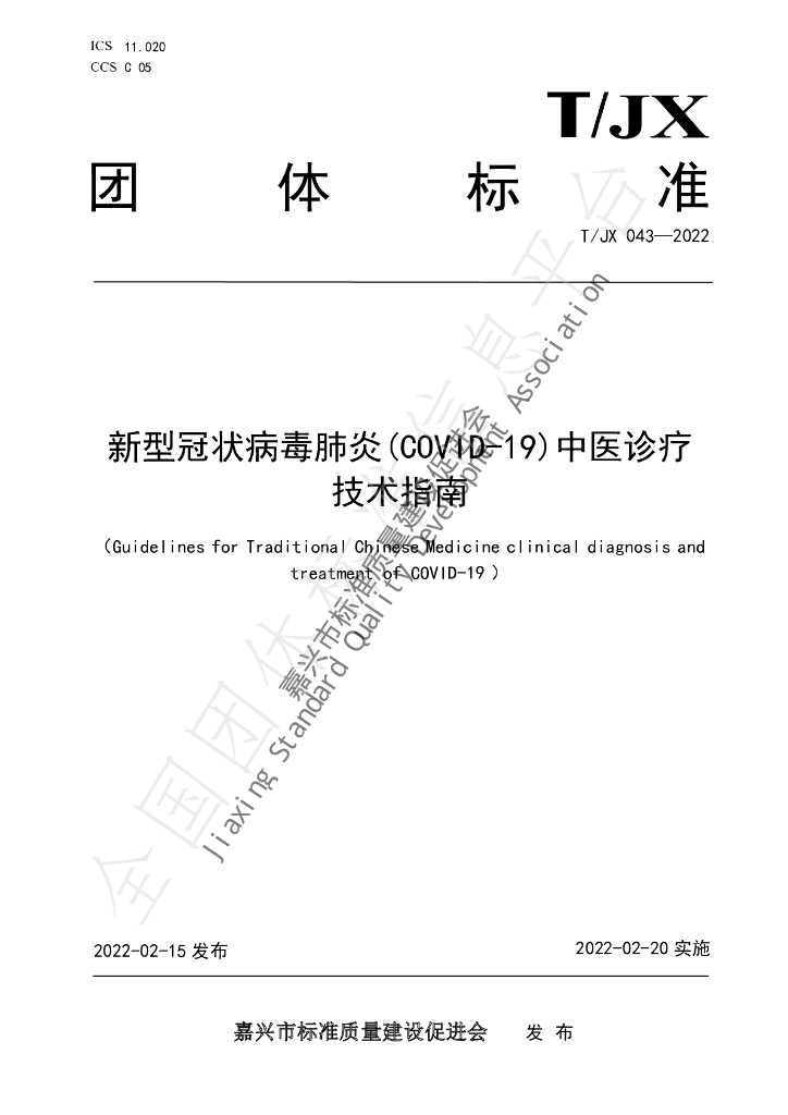 T/JX 043-2022 标准预览