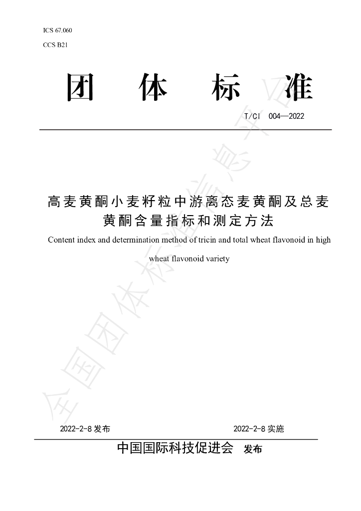 T/CI 004-2022 标准预览