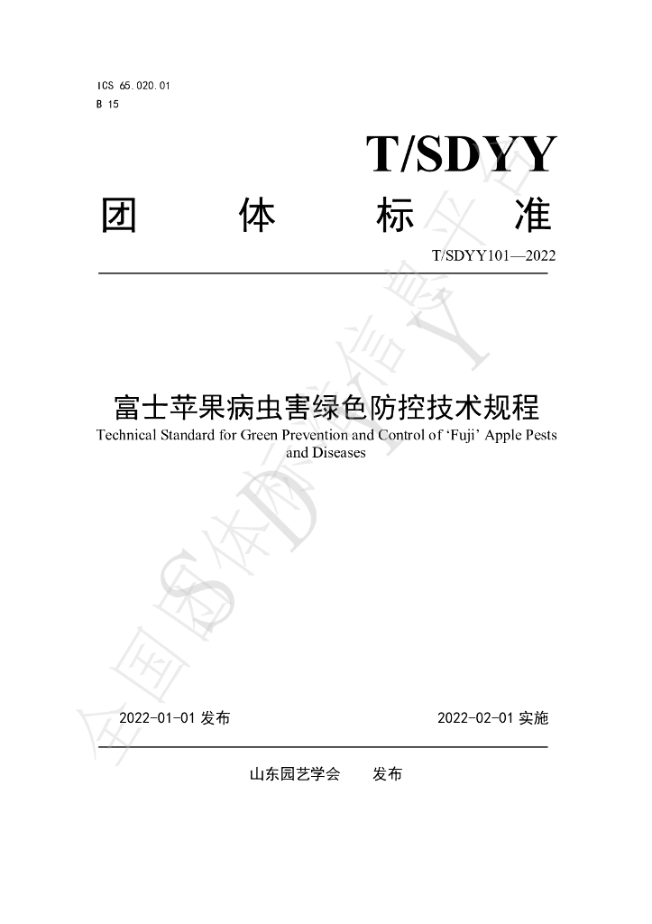 T/SDYY 101-2022 标准预览